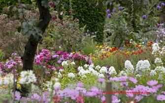 Beautiful Collection Of Home Garden Wallpaper For