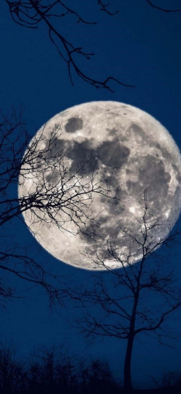 The Moon iPhone Wallpaper