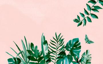Plant Aesthetic Desktop Wallpaper Top