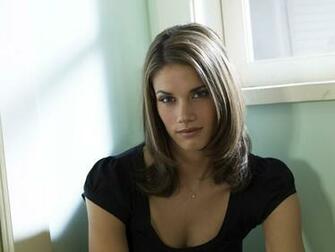 Melissa Missy Peregrym Wallpaper Wallpaper55 Best
