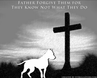 Pit Bull Wallpaper Screen Savers And Desktop Background