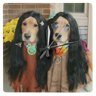 Golden Retriever Halloween