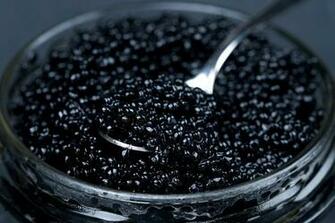 Desktop Wallpaper Black Caviar Food Closeup