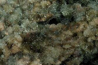 Lil Druzy Flavor Paper