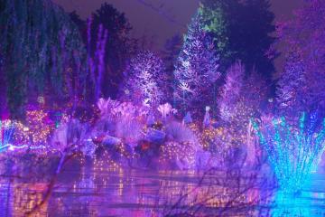Christmas Wallpaper Fairy Lights Teahub Io