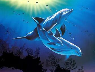 Dolphins 3d Desktop