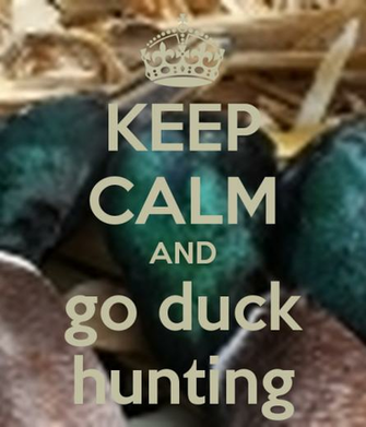 Drake Waterfowl Wallpaper Widescreen