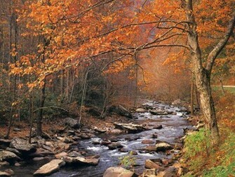 Thanksgiving And Autumn Desktop Wallpaper