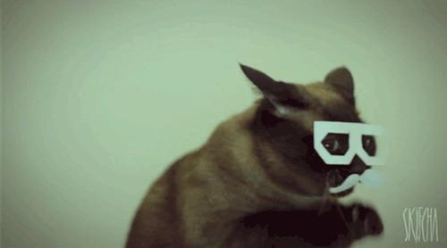 Dribbble Dubstep Cat By Brent Jackson