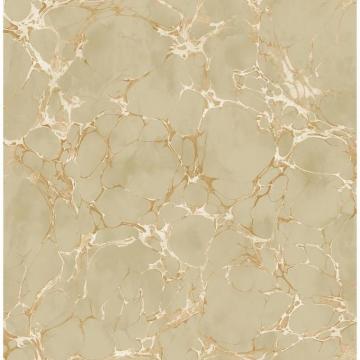 Seabrook Designs Patina Crackle Metallic Bronze And Tan Marble