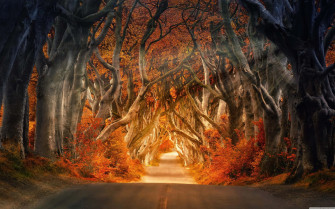 4k Fall Wallpaper