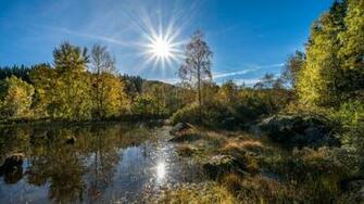Sunny Day At The Pond Widescreen Wallpaper