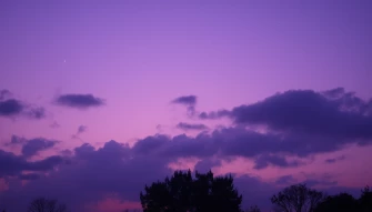 Purple Aesthetic Wallpaper