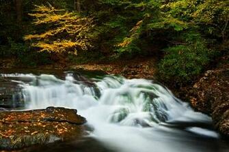 To Enlarge Add My Gallery Make This Photo Your Desktop Wallpaper
