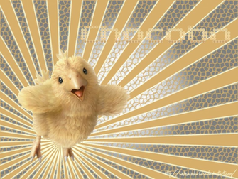 Chocobo Wallpaper By Unknownduchess