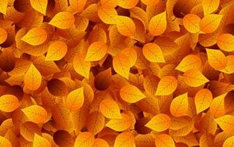 Autumn Leaves Wallpaper Vector