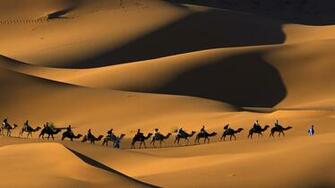 Sahara Desert HD Wallpaper