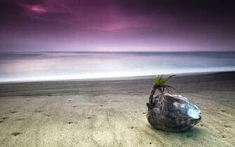 Water Nature Wallpaper Sea Rock Purple