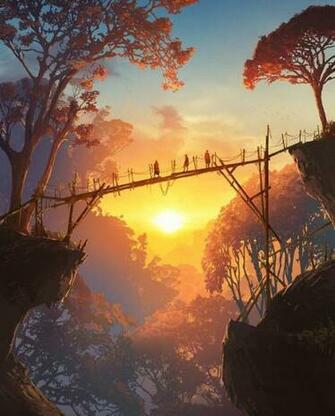 Wilderness Bridge Deciduous Forest Jungle Chasm Evening