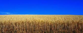 Panoramic Landscape Wallpaper X