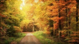 Autumn Road Forest Desktop Pc And Mac Wallpaper