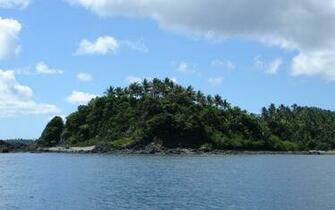 Tropical Island Nature Widescreen Desktop Background