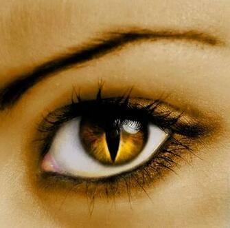 Magic Eyes Photography Desktop Wallpaper S