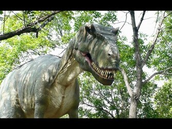 Tyrannosaurus Rex Wallpaper