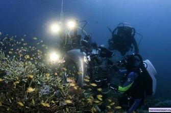Under The Sea 3d Wallpaper Moallpapers Org