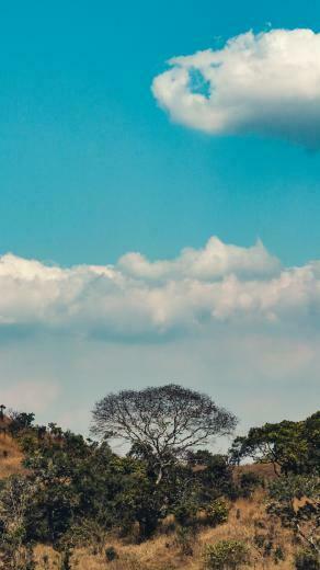 Wallpaper Africa Hills Trees Clouds iPhone