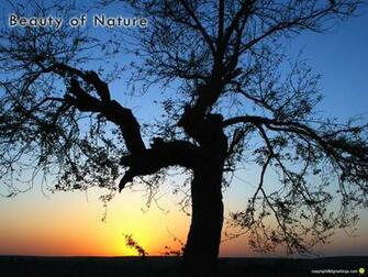 Desktop Wallpaper On Nature Dgreetings
