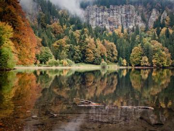Beautiful Bewitching Black Forest Pics