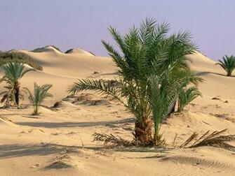 Best Top Desktop Beautiful Desert Wallpaper HD
