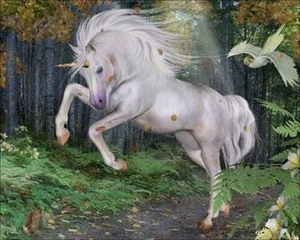 Unicorn Computer Wallpaper Desktop Background Id