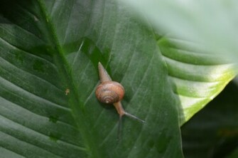 Slow Motion High Quality And Resolution Wallpaper On