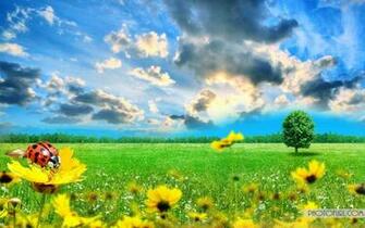 Sun Shining Sky Beautiful Day Wallpaper