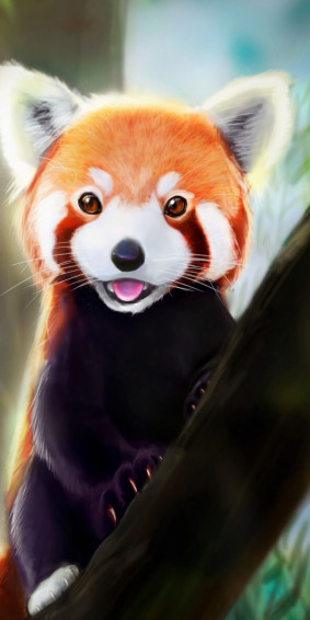 Cute Red Panda Art Wallpaper