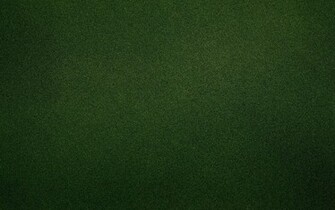Dark Green Wallpaper Giant Design Build