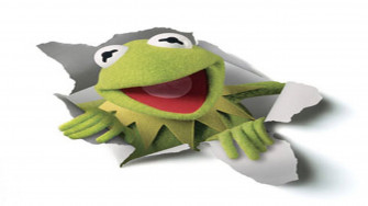 Kermit The Frog Wallpaper
