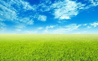 Green Field Wallpaper Nature