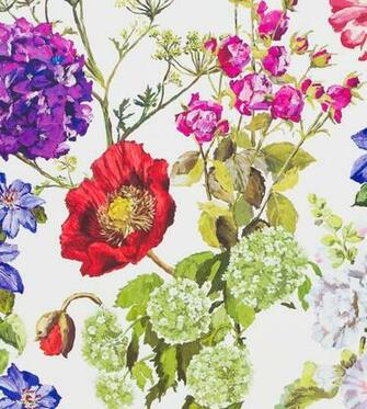 Alexandria Wallpaper By Designers Guild Jane Clayton