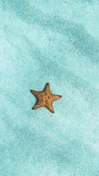 Turquoise iPhone Wallpaper For Mermaids Preppy