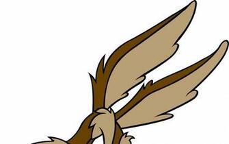 Tunes Wile E Coyote Wallpaper Entertainment HD