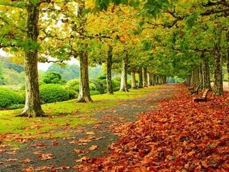 Early Autumn