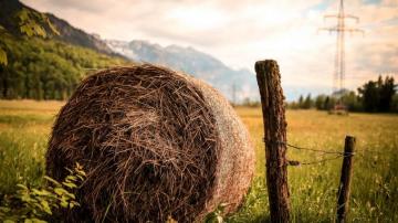 Countryside Farmland Grass Harvest Outdoors Scenery Wallpaper