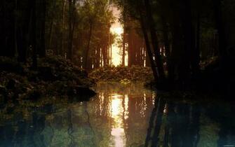 HD Nature Wallpaper By Curtixs