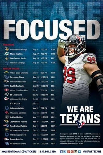 Houston Texans Desperately Seeking Sunday