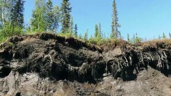 Arctic Shifts To Carbon Source Stunning Reversal After Capturing