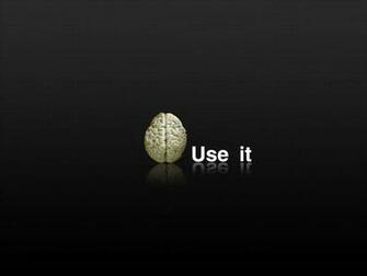 Wallpaper Funny