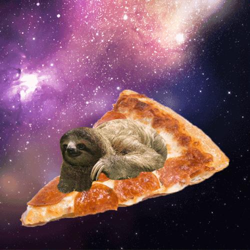 Sloths In Space